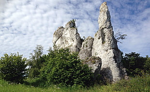 photo of stone mountain