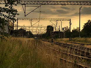 railways, railway HD wallpaper