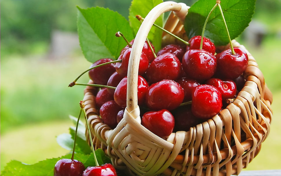 cherries, food, fruit, baskets, cherries (food) HD wallpaper