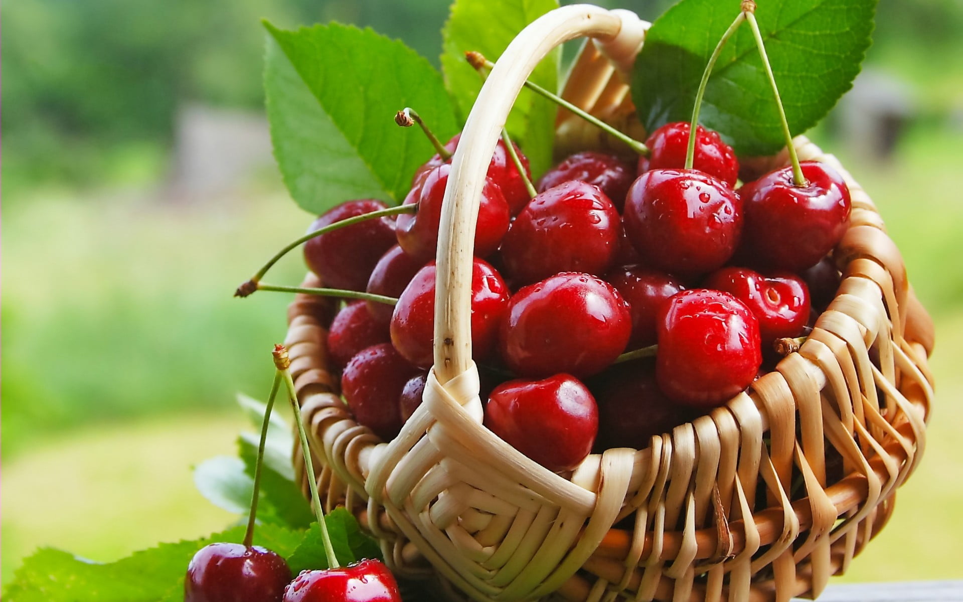 cherries, food, fruit, baskets, cherries (food)