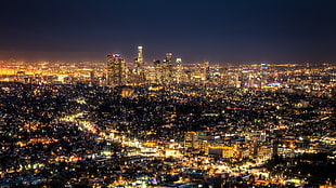 city skyline at night digital wallpaper, city