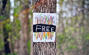 shallow depth of field photo of Free poster on tree trunk