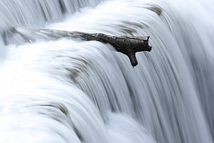 timelapse photography of log near waterfalls