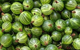 close-up photo of bunch of green fruits