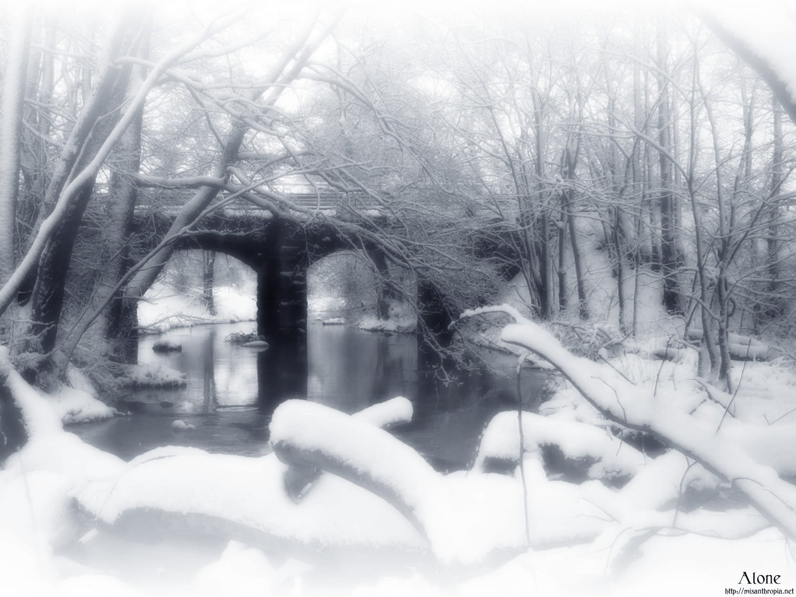 grayscale photo of man riding horse, winter, snow, trees, ice