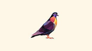 purple multi-color bird digital wallpaper