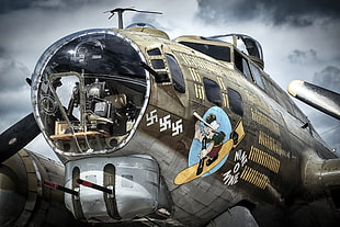 brown and gray airplane, aircraft, Boeing B-17 Flying Fortress, World War II