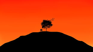 silhouette photography of people under the tree HD wallpaper
