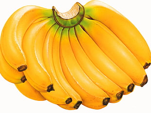 Banana fruit HD wallpaper