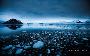 Antartica wallpaper, Antarctica, ice, sea, mountains HD wallpaper