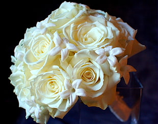 white petaled flowers bouquet close-up photography