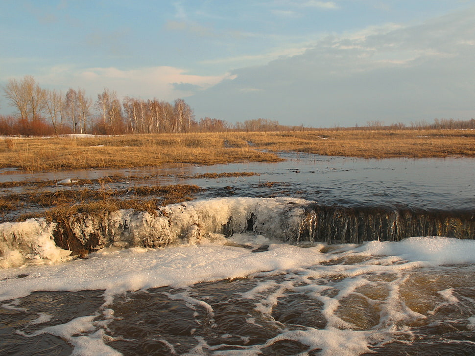 wide river with brown grasses during daytime HD wallpaper