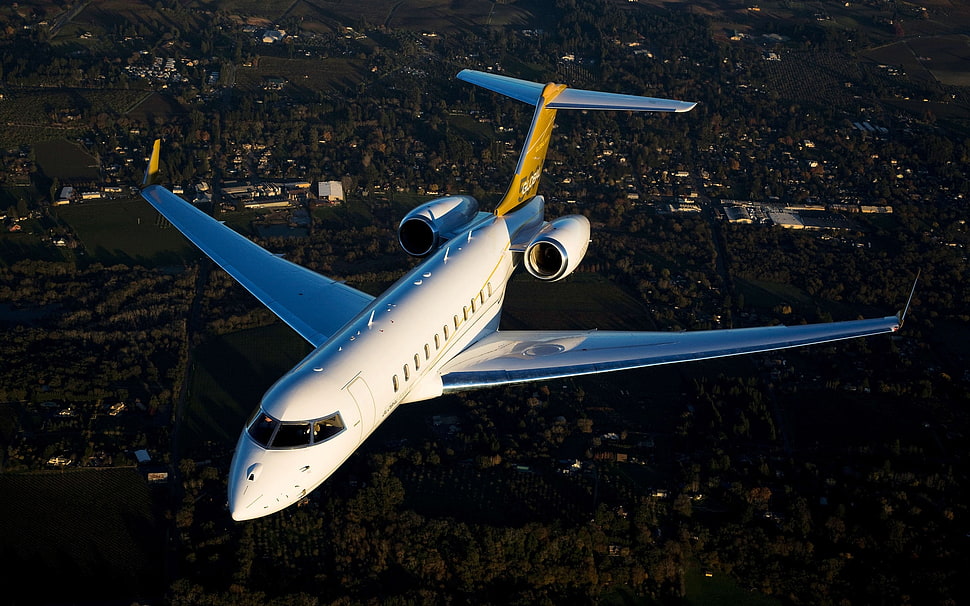 white and brown passenger plane flying over trees HD wallpaper