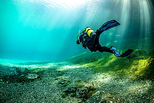 pair of blue fins, Grüner See, underwater, lake, divers