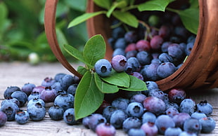 selective focus photography of bunch of blueberries