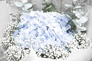 blue hydrangea and white baby's-breath flower bouquet