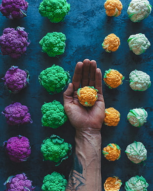 assorted-color cauliflowers, Cabbage, Hand, Colorful HD wallpaper