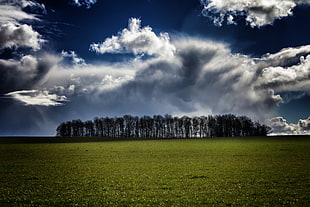 silhouette of trees on green grass field under blue and white cloudy sky during daytime, wentworth, rotherham