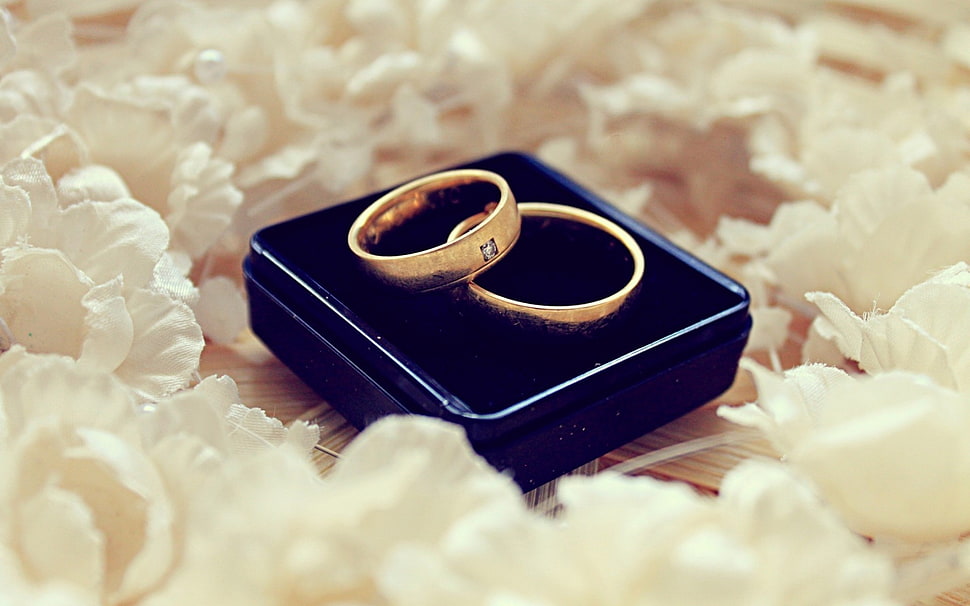 gold-colored wedding bands in black box HD wallpaper