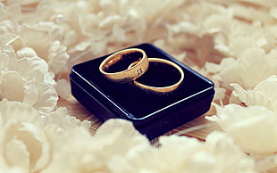 gold-colored wedding bands in black box