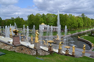 water fountain in front of green trees