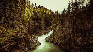 body of water, forest, river, nature, cliff