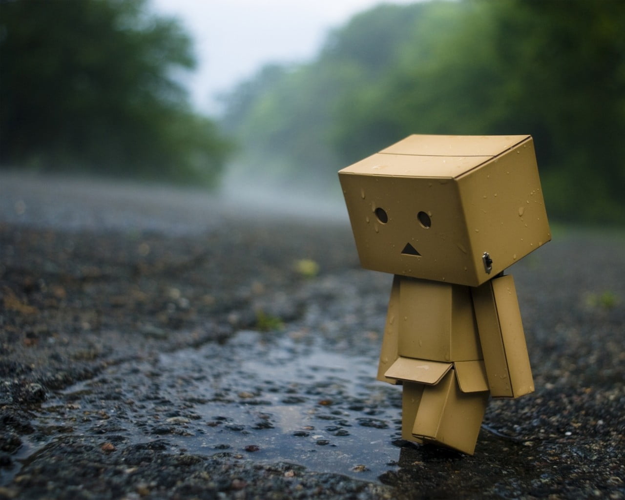 danbo digital wallpaper, Danbo