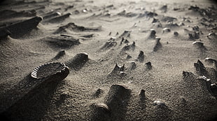photography of gray sand, s6