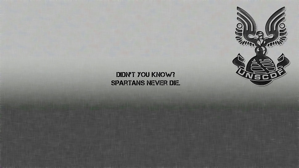 white and black text print, quote HD wallpaper