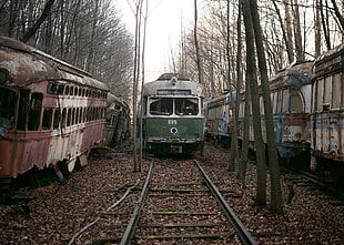 green and white train, wreck, vehicle, abandoned