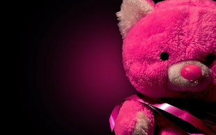 pink teddy bear wallpaper HD wallpaper