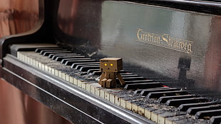 black Grotrian Steinveg piano, piano, Danbo