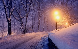 snow-covered road, nature, landscape, lantern, winter
