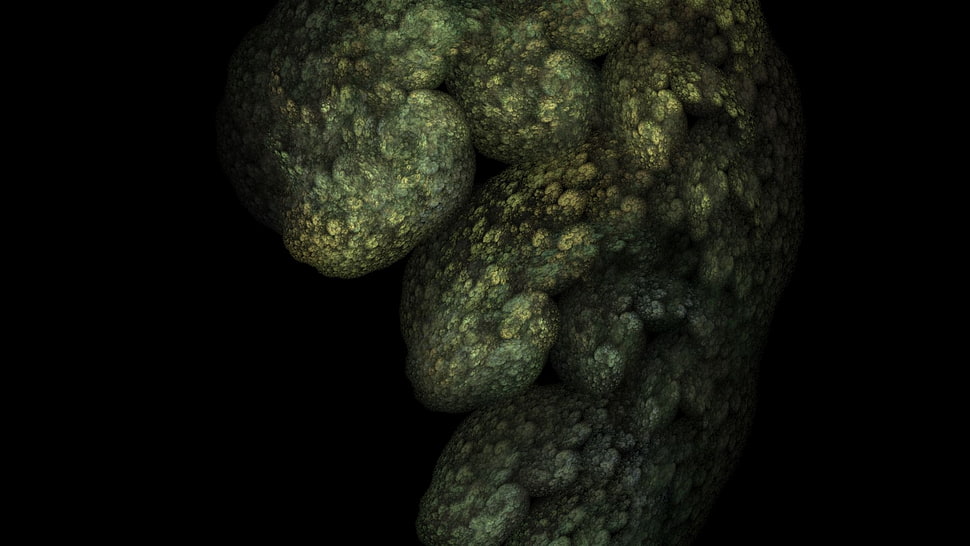 green corals HD wallpaper