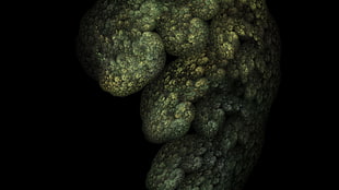 green corals