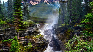 time lapse photography of water falls surrounded by tress, athabasca