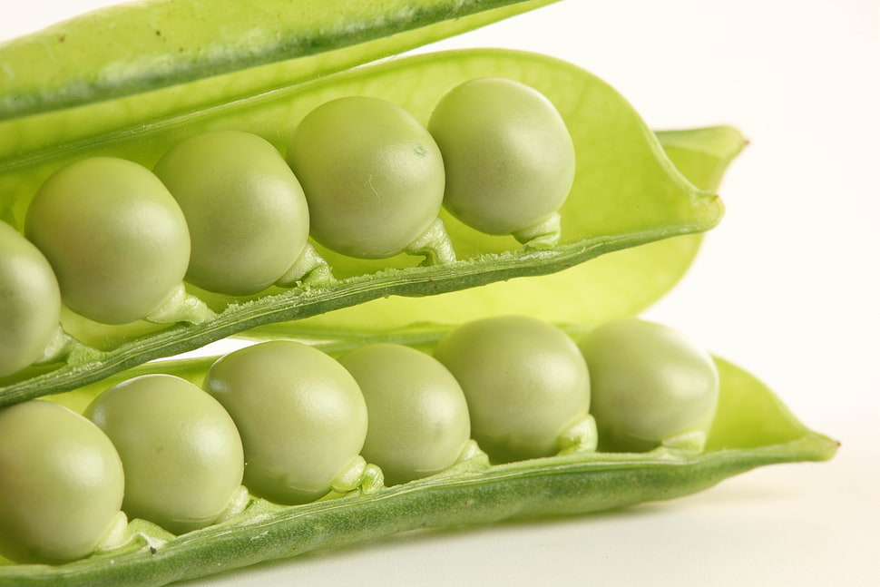 green snowpeas HD wallpaper