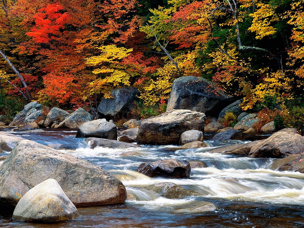 water photo HD wallpaper