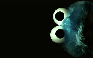 Cookie Monster plush toy HD wallpaper