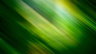 green and yellow wallpaper