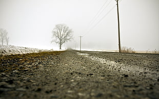 low angled photo of concrete road HD wallpaper