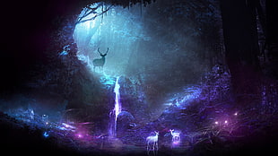 deer in cave digital wallpaper