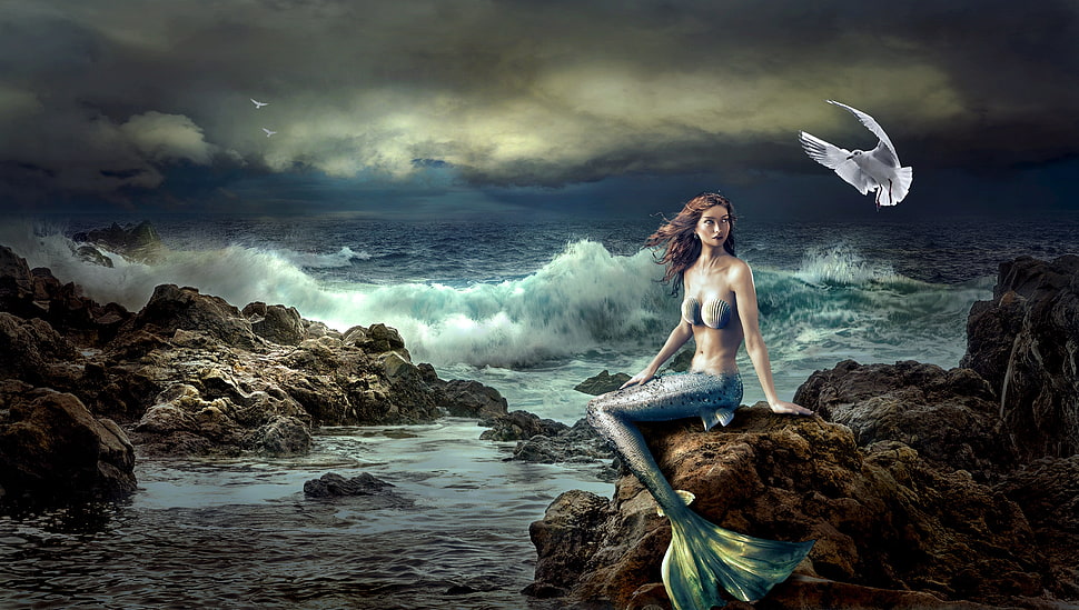 painting of mermaid sitting on rock HD wallpaper