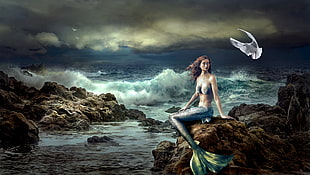 painting of mermaid sitting on rock HD wallpaper