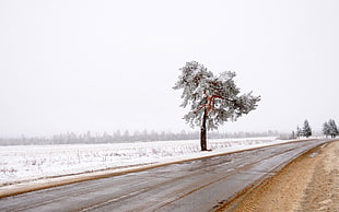 gray highway beside field with snow photo