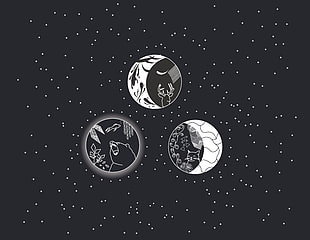 white and black star illustration, Moon, cat eyes, bears, deer