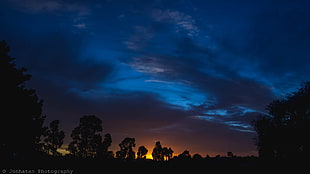 silhouette of trees during sunset, night sky, landscape, clouds, sunset
