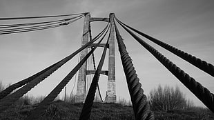 brown rope full-suspension bridge in grayscale photography HD wallpaper