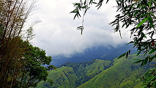 green Mountain covered by white clouds