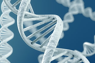 DNA HD wallpaper